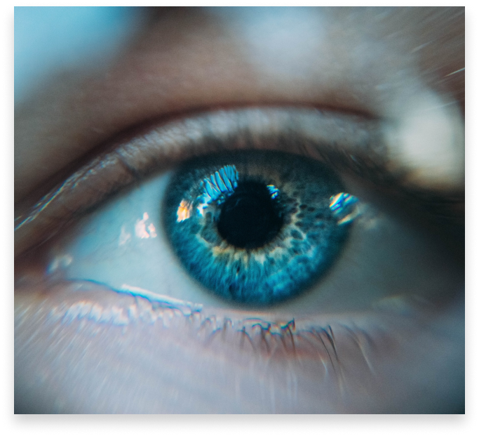 eye